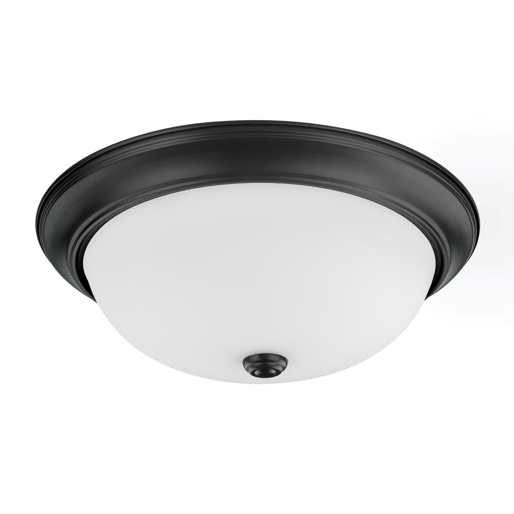 Flush Mounts-Capital-214731