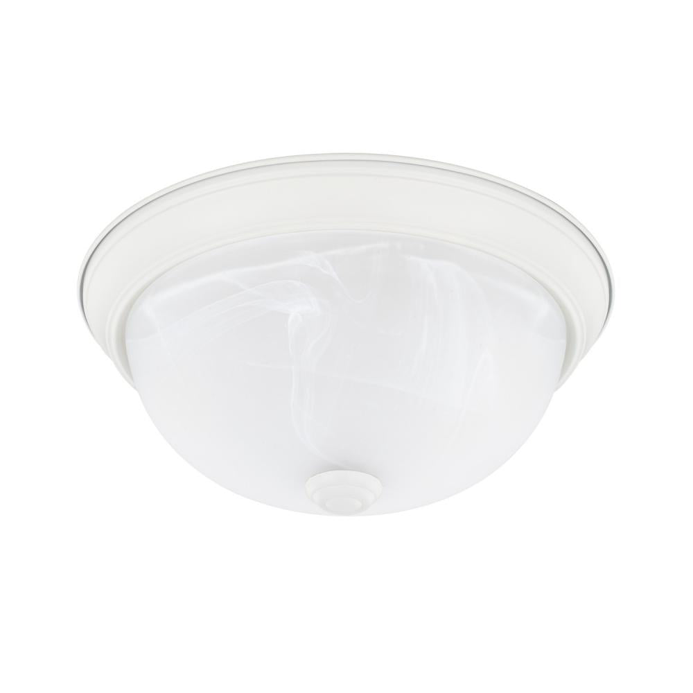 Flush Mounts-Capital-219021