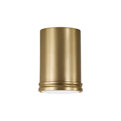 Flush Mounts-Capital-259411