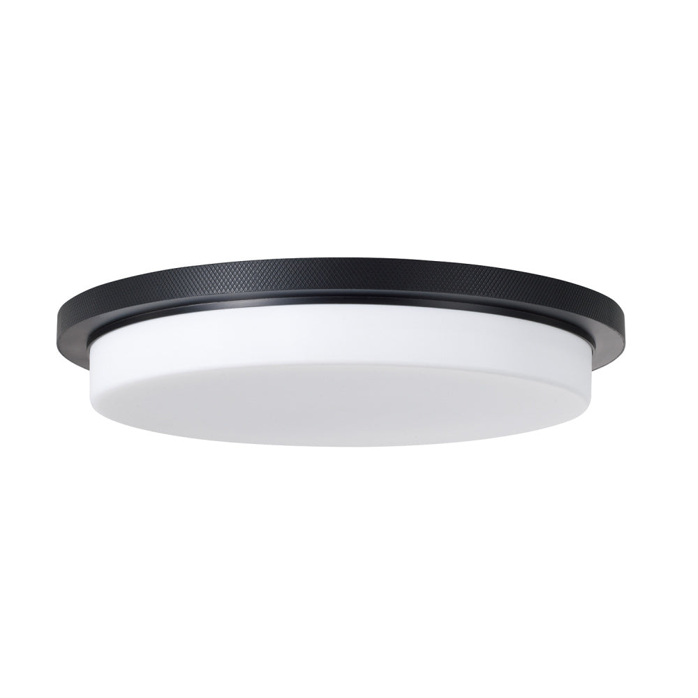 Flush Mounts-Capital-261311