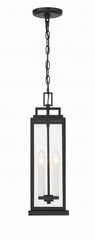 Pendants-Crystorama-ASP-8915