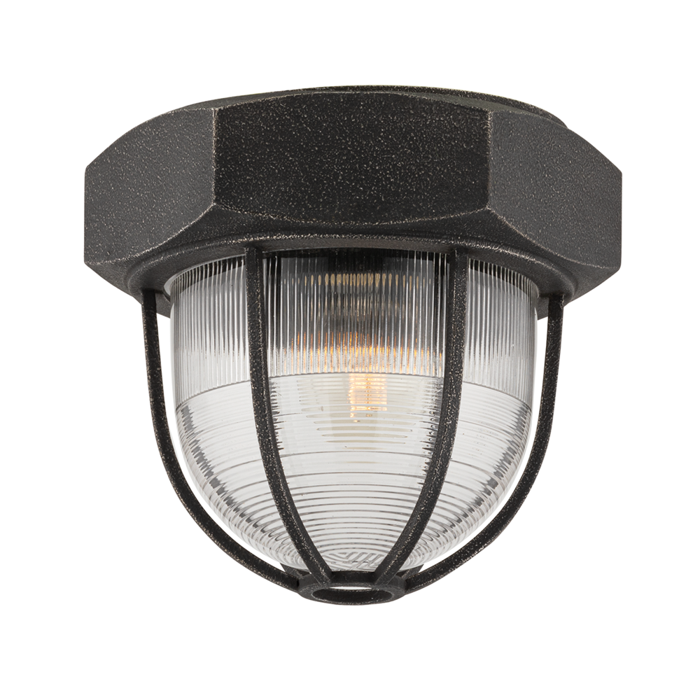 Flush Mounts-Troy-C3891-APW