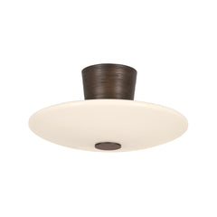 Semi-Flush Mts.-Troy-C5016