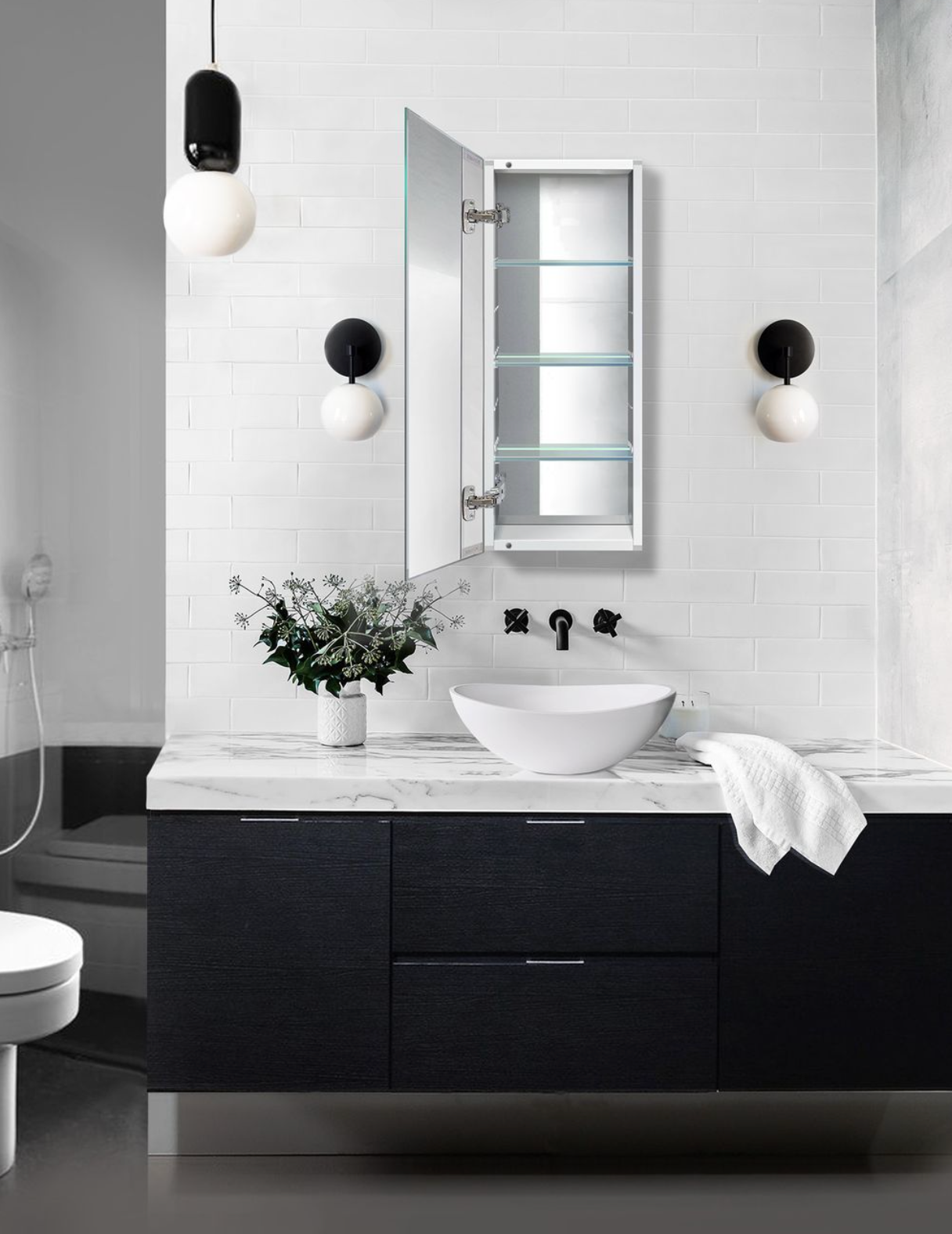 Plaza 12 X 30 Medicine Cabinet with Mirror