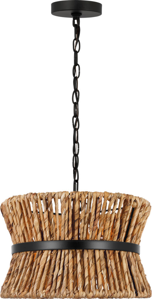 Visual Comfort & Co. Studio Collection-DJP1052MBKE