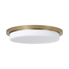 Flush Mounts-Capital-261311