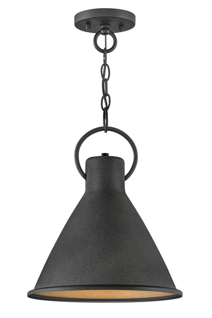 Pendants-Hinkley-HL3557