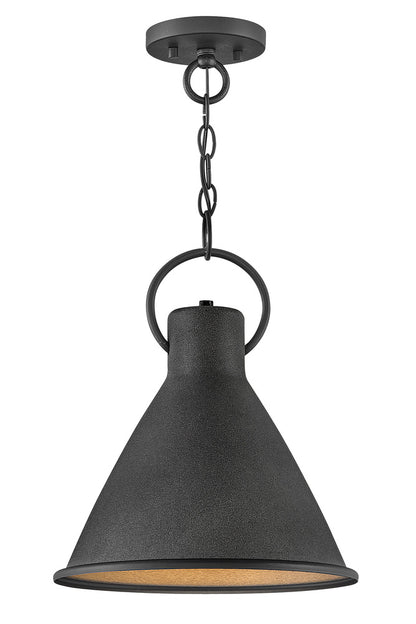 Pendants-Hinkley-HL3557
