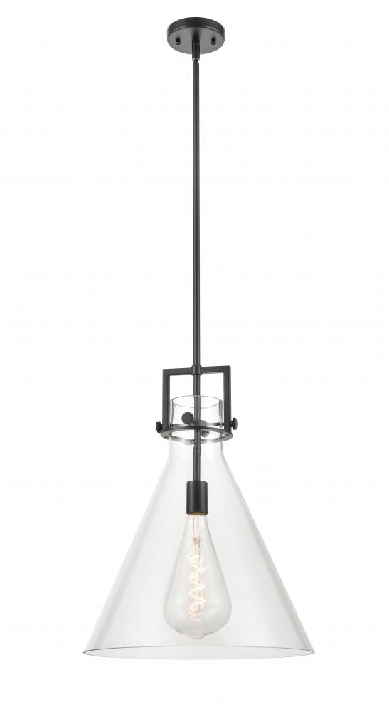 Pendants-Innovations Lighting-411-1SL-G411-16