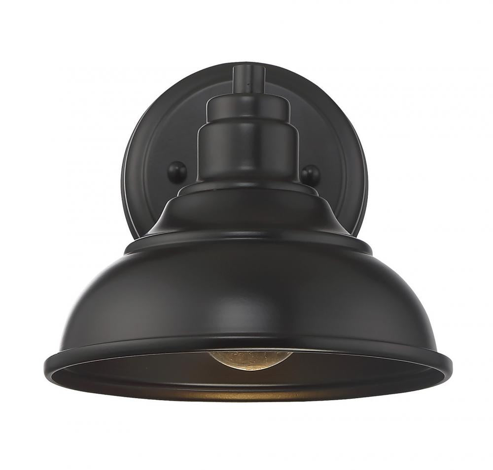 Dunston DS 1-Light Dark Sky Wall Lantern (5-5630-DS-13) | Dark Sky