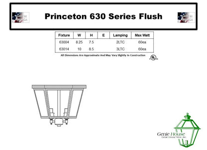 Princess Exterior Flush Mount 63004