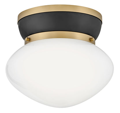 Flush Mounts-Lark-83601
