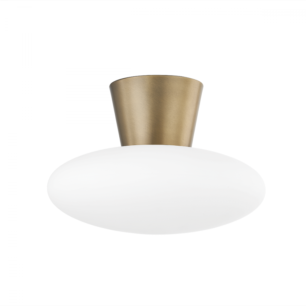 Flush Mounts-Troy-C5415-PBR