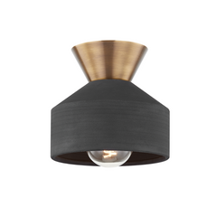 Flush Mounts-Troy-C9808-PBR/CBK