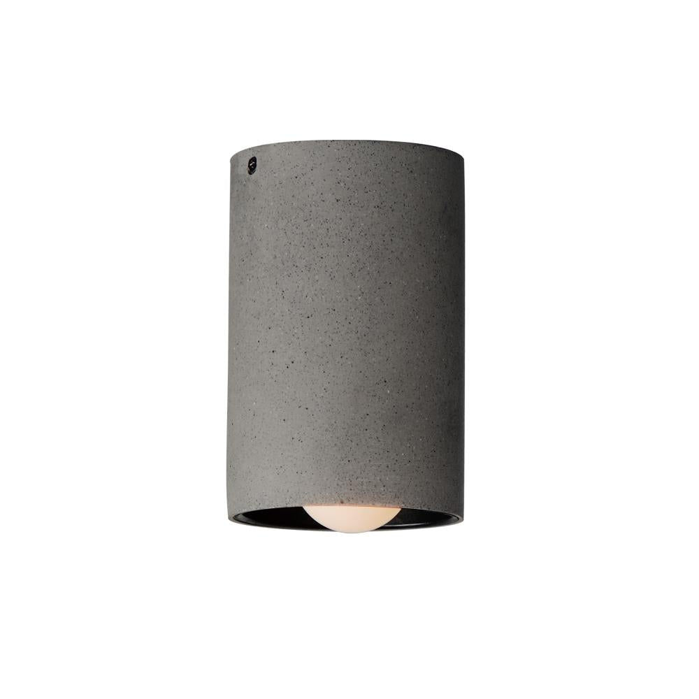 Flush Mounts-ET2-14370