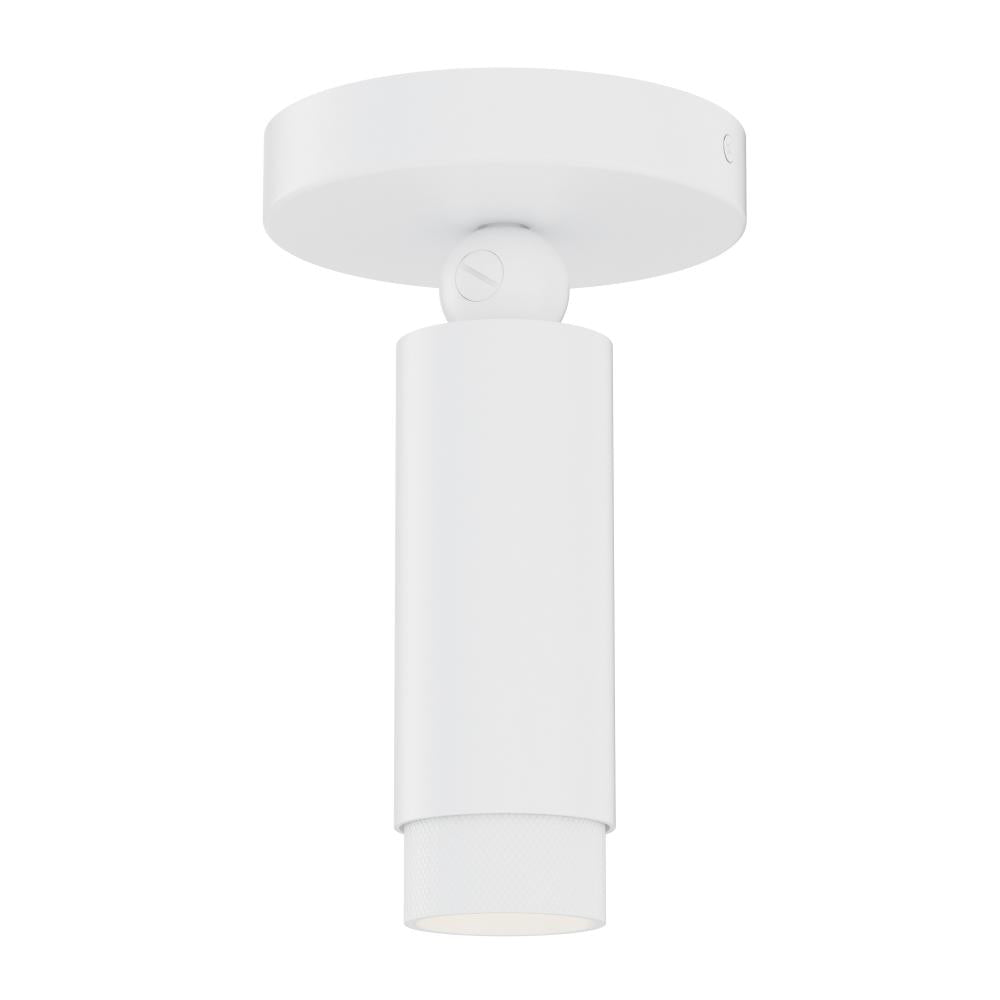 Flush Mounts-ET2-21680