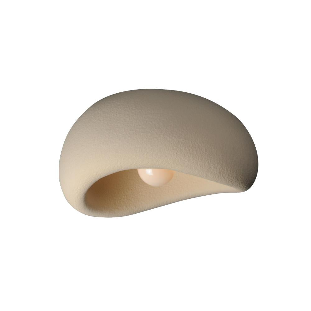 Flush Mounts-ET2-25180