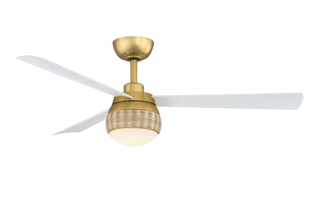 Fans-Fanimation-FP6837