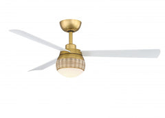 Fans-Fanimation-FP6837