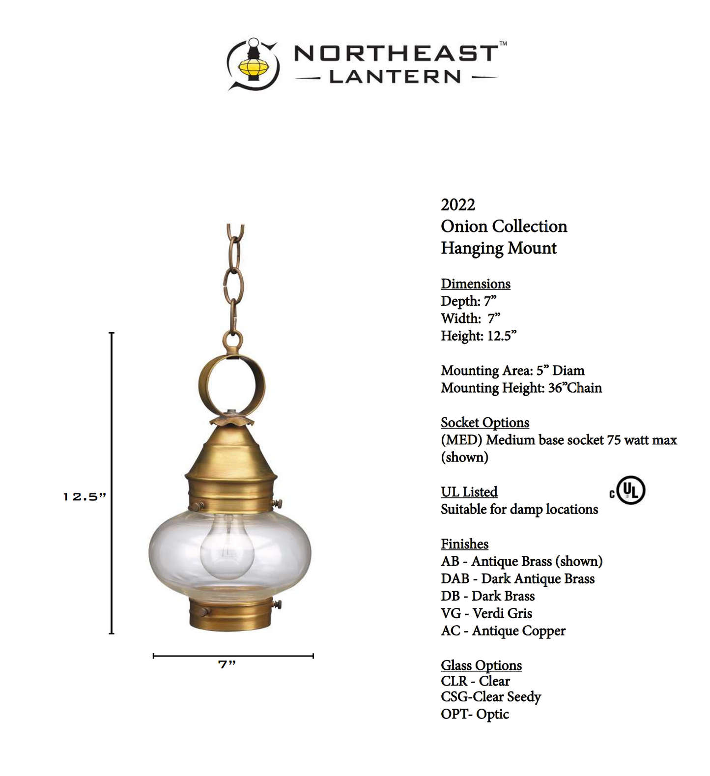 Onion Outdoor Hanging Lantern with No Cage 2022
