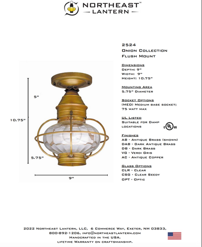 Caged Onion Outdoor Flush Mounts 2524