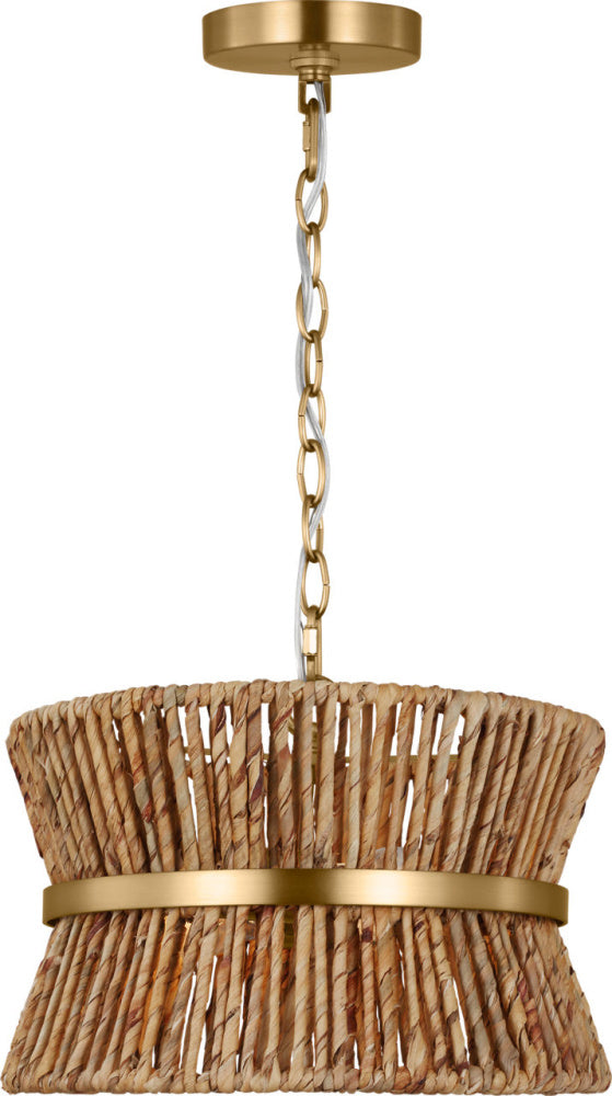 Visual Comfort & Co. Studio Collection-DJP1052SBE