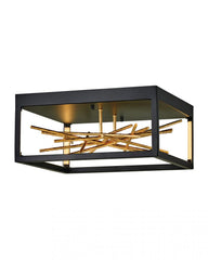 Flush Mounts-Fredrick Ramond-FR46401